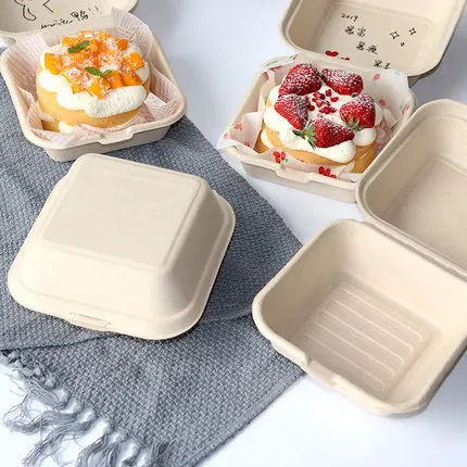 50 Stück umweltfreundliche Ein – Meal Prep Day Bewertung und Preis