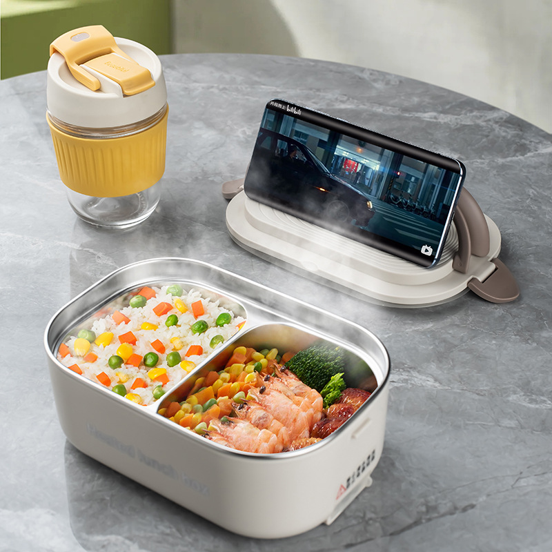 220V 110V Elektrische Lunchbox – Meal Prep Tupperware Bewertung und Preis